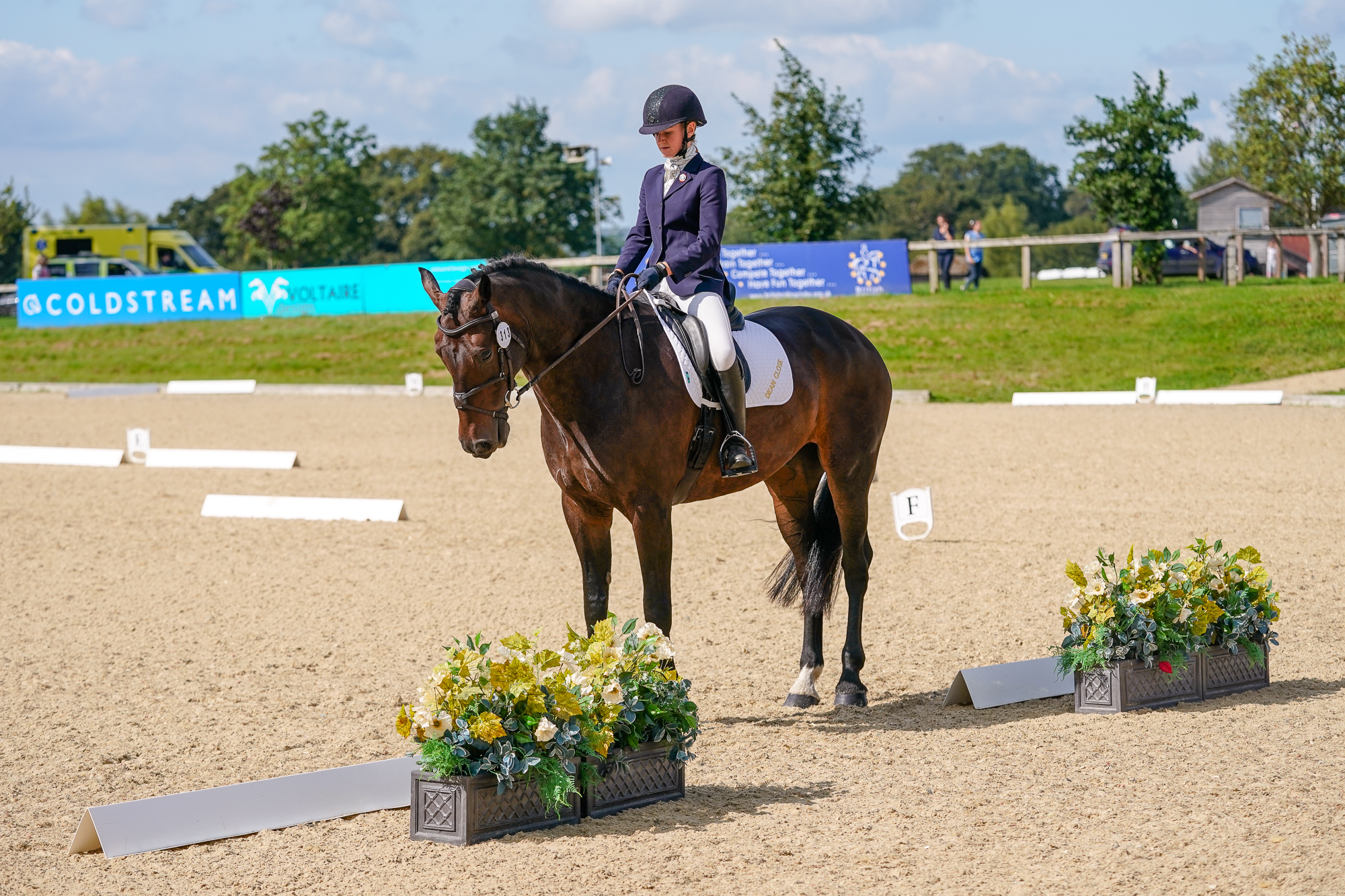 County Dressage Qualifiers 2024 NSEA